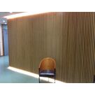 Habillage mural 1